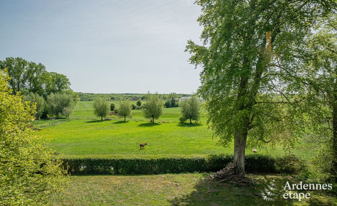 Schloss in Froidchapelle f�r 19 Personen mit 5 Doppelzimmern mit eigenem Bad