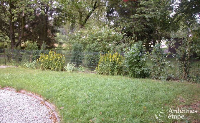 Ferienhaus Froidchapelle 5 Pers. Ardennen