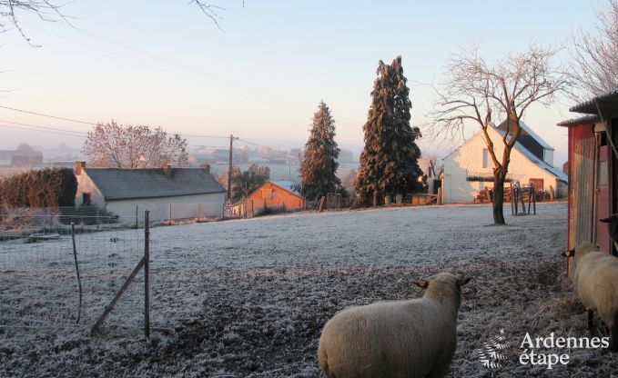 Ferienhaus Froidchapelle 4/6 Pers. Ardennen