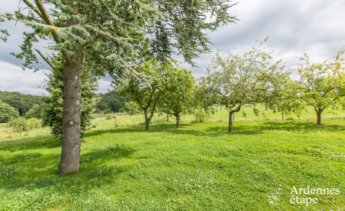 Ferienhaus fr 14 Personen in der Nhe von Lacs de l'Eau d'Heure