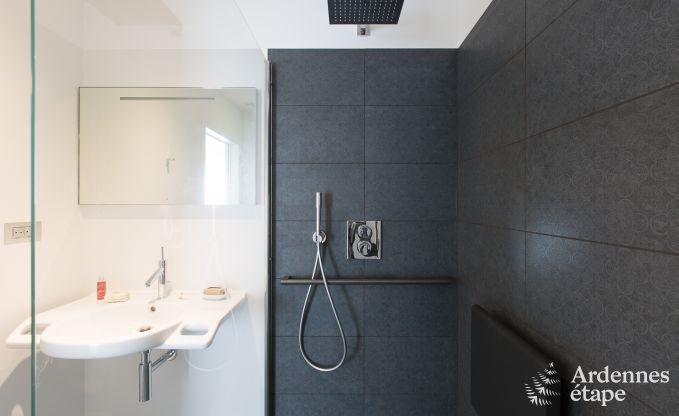 Ferienhaus fr 14 Personen in der Nhe von Lacs de l'Eau d'Heure