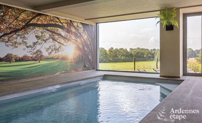 Ferienhaus Froidchapelle 20 Pers. Ardennen Schwimmbad Wellness Behinderten gerecht