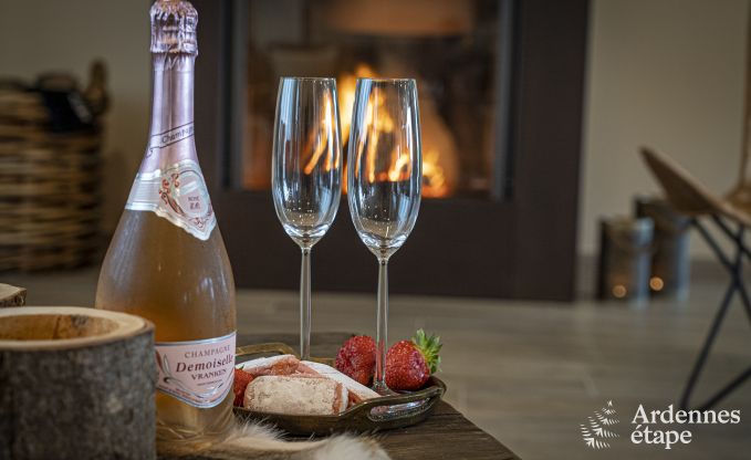 Ferienhaus Froidchapelle 20 Pers. Ardennen Schwimmbad Wellness Behinderten gerecht