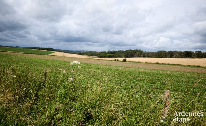 Ferienhaus mit Innenpool in Froidchapelle, Ardennen