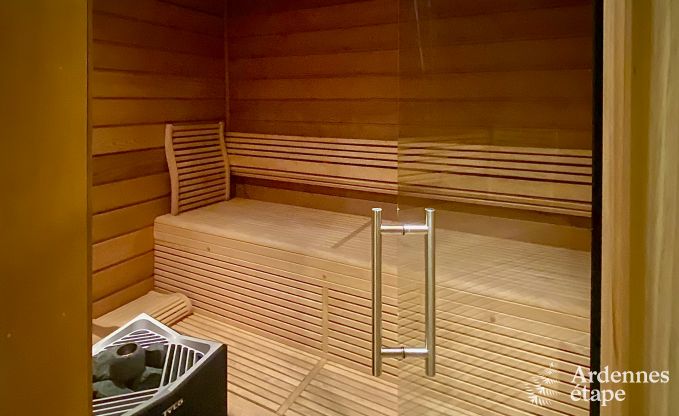 Ferienhaus Gedinne 9 Pers. Ardennen Wellness