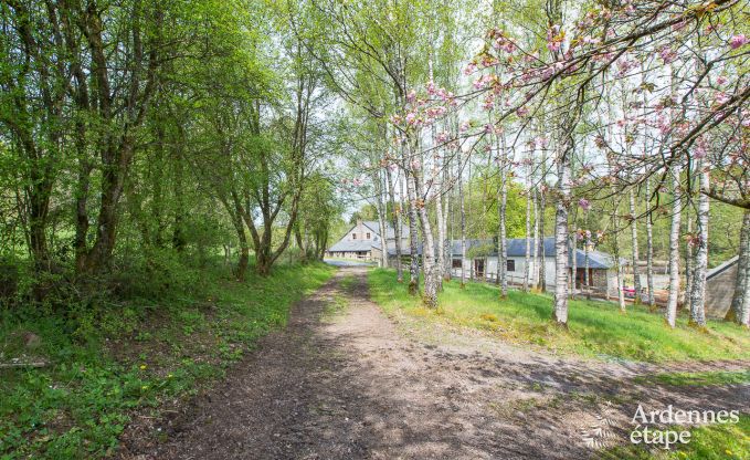 Ferienhaus Gedinne 16/18 Pers. Ardennen Wellness