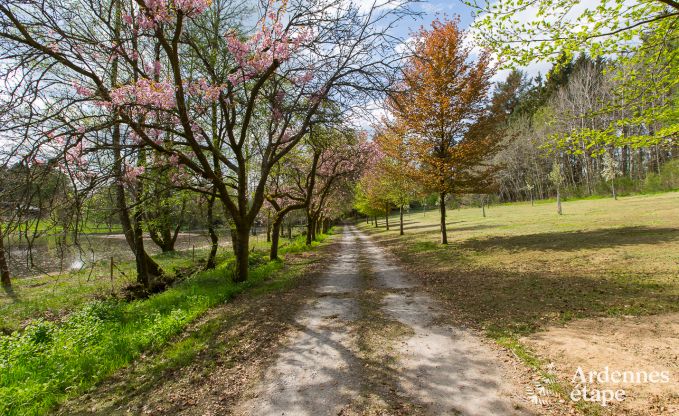 Ferienhaus Gedinne 16/18 Pers. Ardennen Wellness