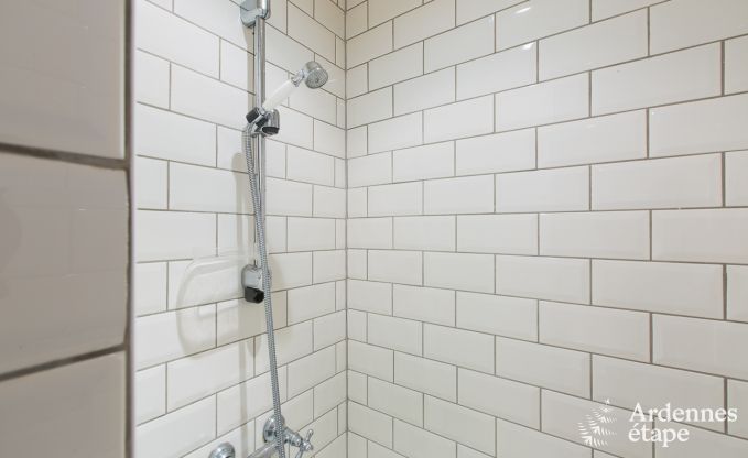 Ferienhaus Gedinne 16/18 Pers. Ardennen Wellness