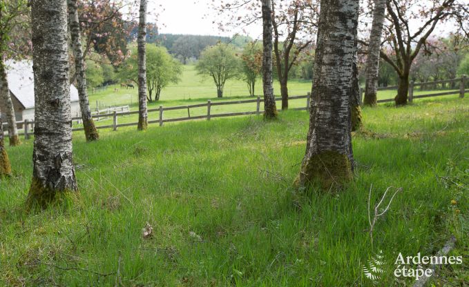 Ferienhaus Gedinne 16/18 Pers. Ardennen Wellness