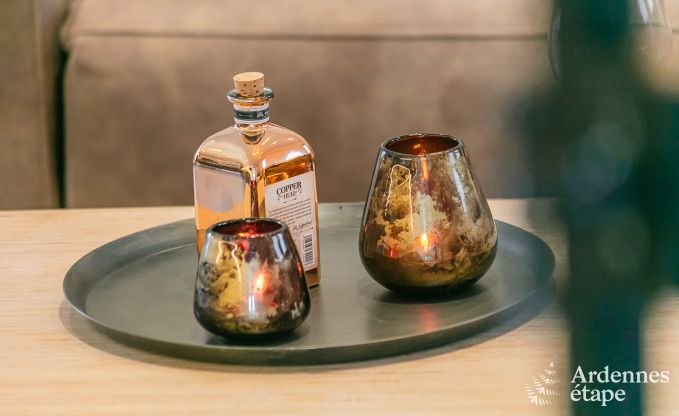 Luxusvilla Gedinne 14 Pers. Ardennen Wellness Behinderten gerecht