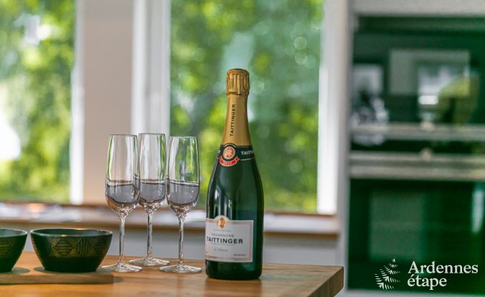 Luxusvilla Gedinne 14 Pers. Ardennen Wellness Behinderten gerecht