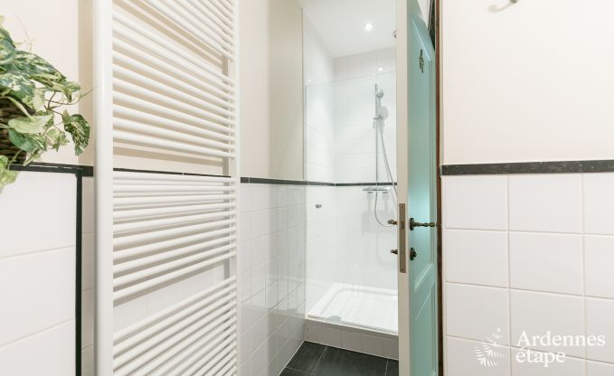 Luxusvilla Gedinne 18 Pers. Ardennen Wellness