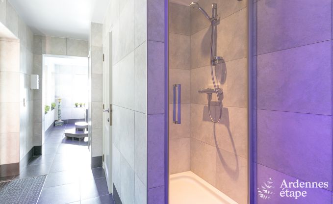 Luxusvilla Gedinne 18 Pers. Ardennen Wellness