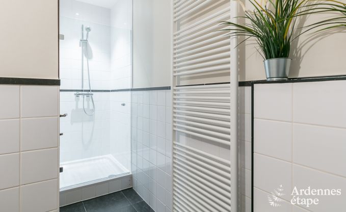 Luxusvilla Gedinne 18 Pers. Ardennen Wellness