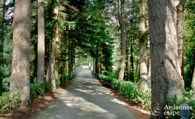 Luxusvilla Gedinne 18 Pers. Ardennen Wellness