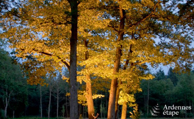 Luxusvilla Gedinne 18 Pers. Ardennen Wellness