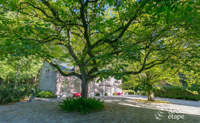 Luxusvilla Gedinne 18 Pers. Ardennen Wellness