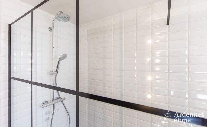 Ferienhaus Gedinne 4 Pers. Ardennen