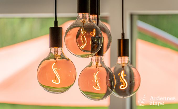 Ferienhaus Gedinne 6 Pers. Ardennen Wellness