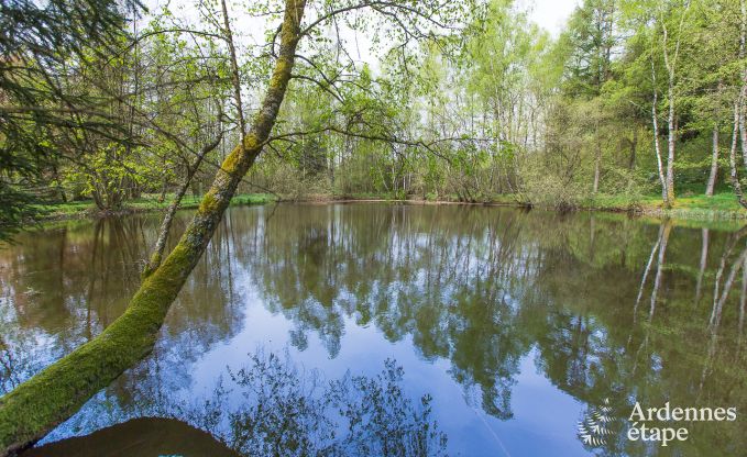 Ferienhaus Gedinne 2/4 Pers. Ardennen Wellness