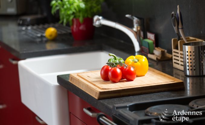 Ferienhaus Gedinne 2/4 Pers. Ardennen Wellness