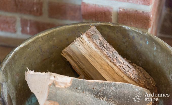 Ferienhaus Gedinne 2/4 Pers. Ardennen Wellness