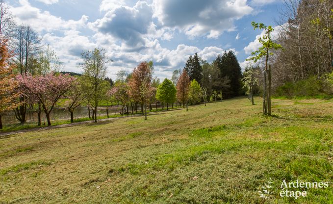 Ferienhaus Gedinne 2/4 Pers. Ardennen Wellness