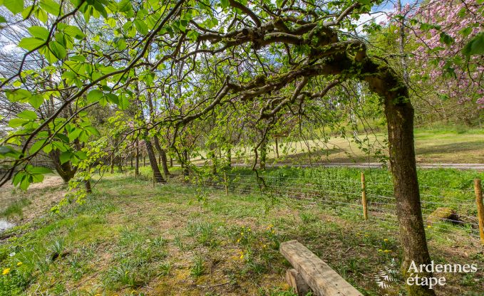 Ferienhaus Gedinne 2/4 Pers. Ardennen Wellness