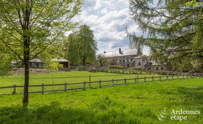 Ferienhaus Gedinne 2/4 Pers. Ardennen Wellness