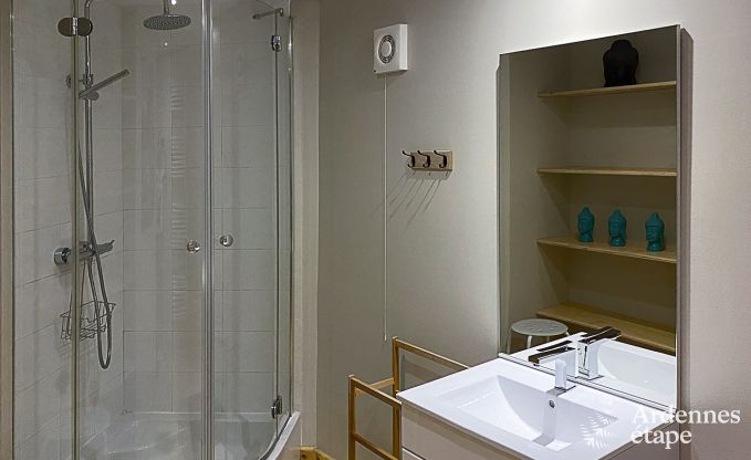 Ferienhaus Gedinne 9 Pers. Ardennen Wellness