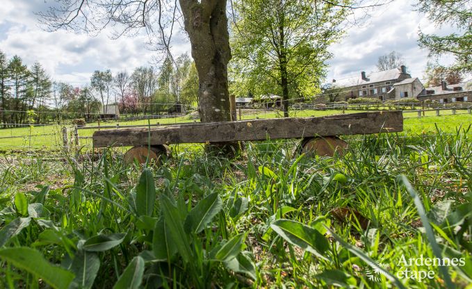 Ferienhaus Gedinne 14 Pers. Ardennen Wellness