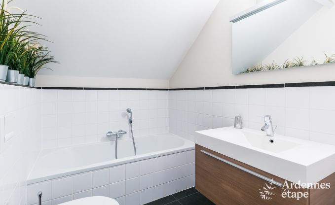 Luxusvilla Gedinne 18 Pers. Ardennen Wellness