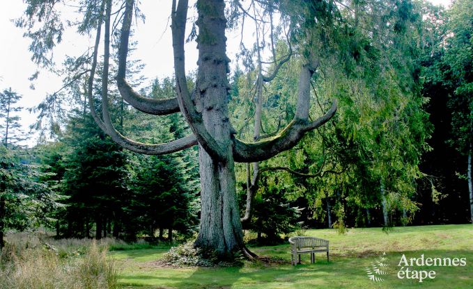 Luxusvilla Gedinne 18 Pers. Ardennen Wellness