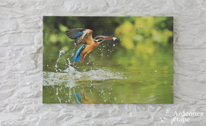 Luxusvilla Gedinne 18 Pers. Ardennen Wellness