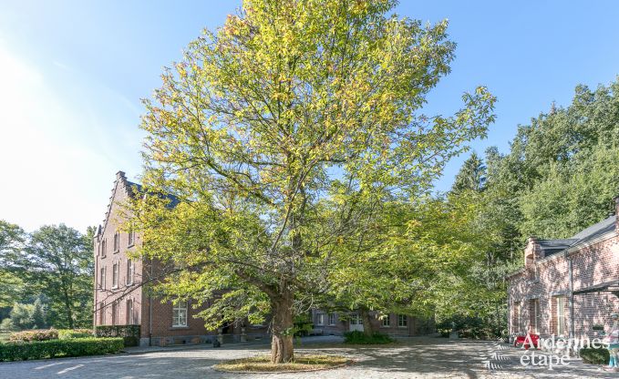 Luxusvilla Gedinne 18 Pers. Ardennen Wellness