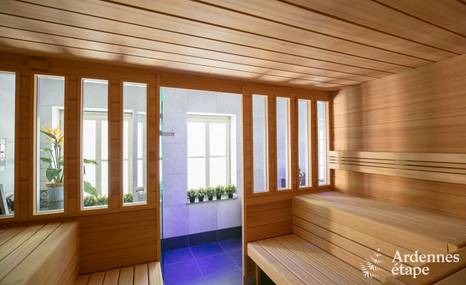 Luxusvilla Gedinne 18 Pers. Ardennen Wellness