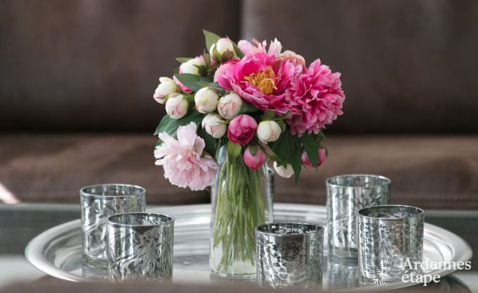 Luxusvilla Gedinne 18 Pers. Ardennen Wellness