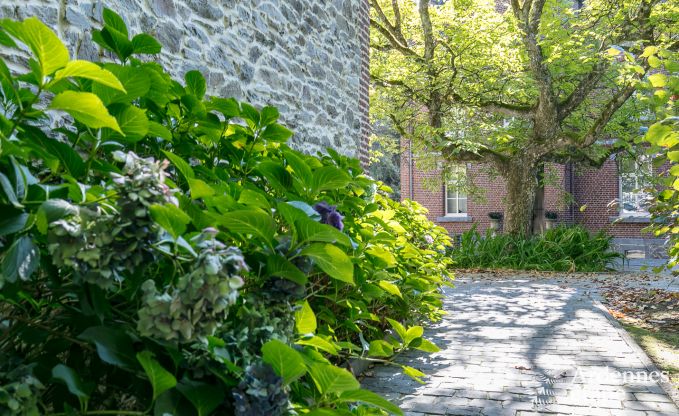 Luxusvilla Gedinne 18 Pers. Ardennen Wellness