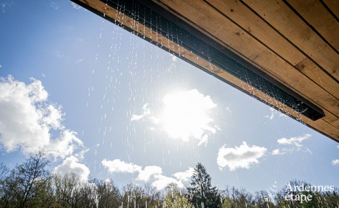 Au�ergew�hnliche Ferienvilla f�r 14 Personen in Gedinne, Ardennen