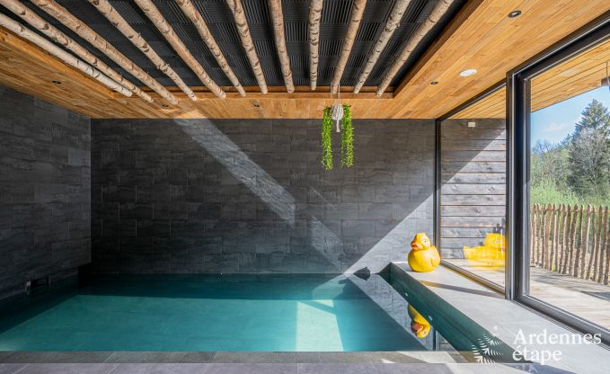 Au�ergew�hnliche Ferienvilla f�r 14 Personen in Gedinne, Ardennen