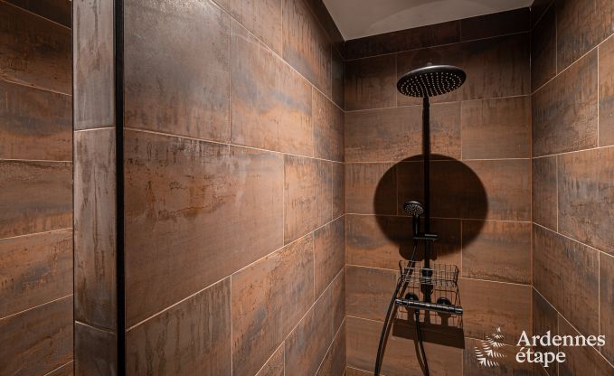 Au�ergew�hnliche Ferienvilla f�r 14 Personen in Gedinne, Ardennen