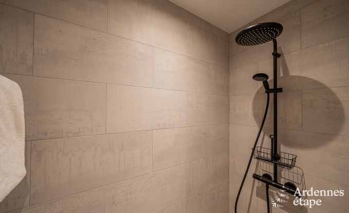 Au�ergew�hnliche Ferienvilla f�r 14 Personen in Gedinne, Ardennen