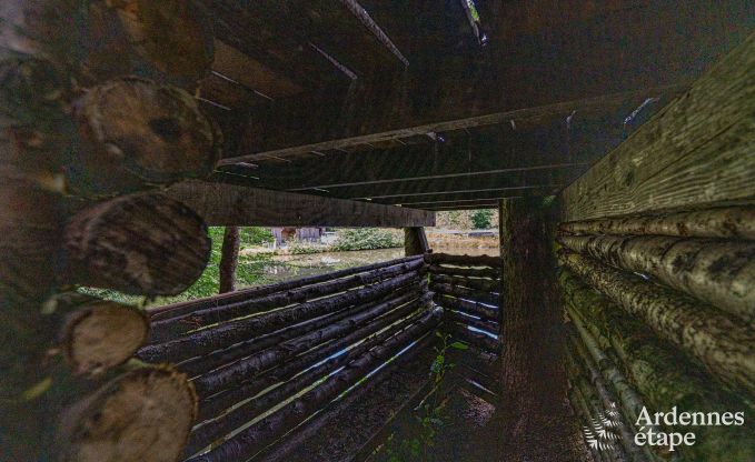 Au�ergew�hnliche Ferienvilla f�r 14 Personen in Gedinne, Ardennen