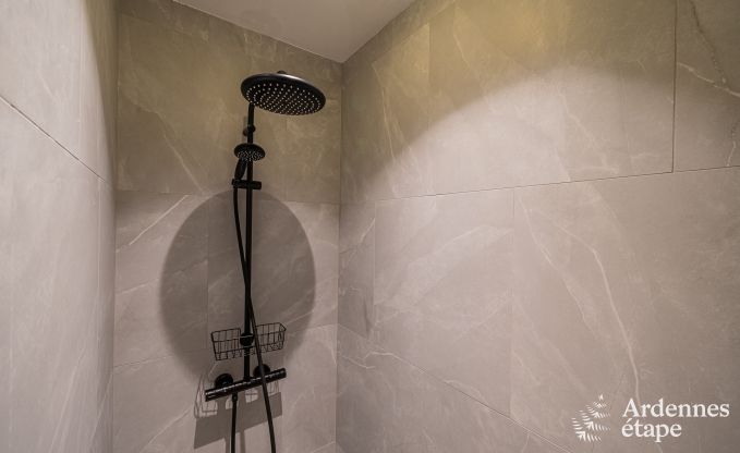 Au�ergew�hnliche Ferienvilla f�r 14 Personen in Gedinne, Ardennen