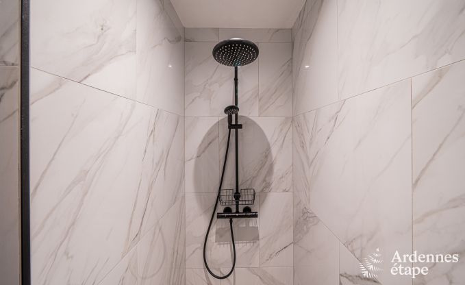 Au�ergew�hnliche Ferienvilla f�r 14 Personen in Gedinne, Ardennen