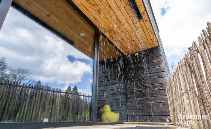 Au�ergew�hnliche Ferienvilla f�r 14 Personen in Gedinne, Ardennen
