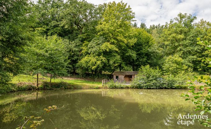 Au�ergew�hnliche Ferienvilla f�r 14 Personen in Gedinne, Ardennen