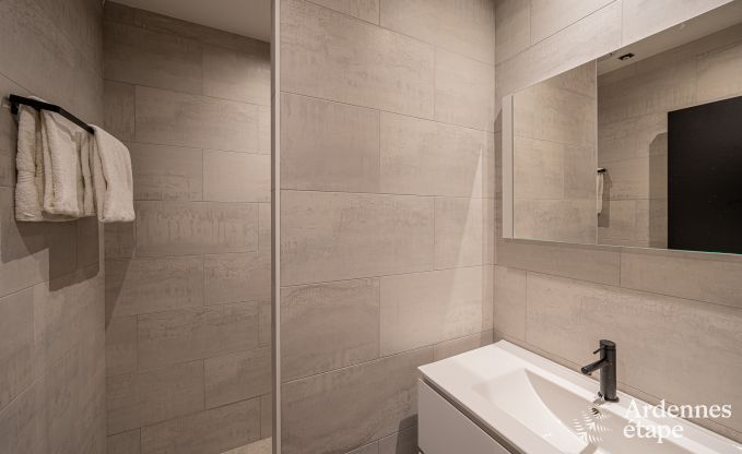 Au�ergew�hnliche Ferienvilla f�r 14 Personen in Gedinne, Ardennen