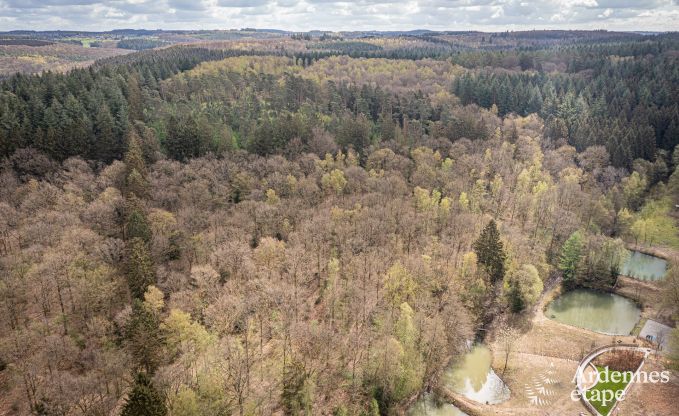 Au�ergew�hnliche Ferienvilla f�r 14 Personen in Gedinne, Ardennen