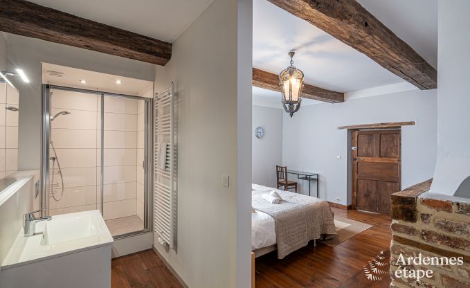 Wunderschnes Luxusschloss in Gedinne, Ardennen